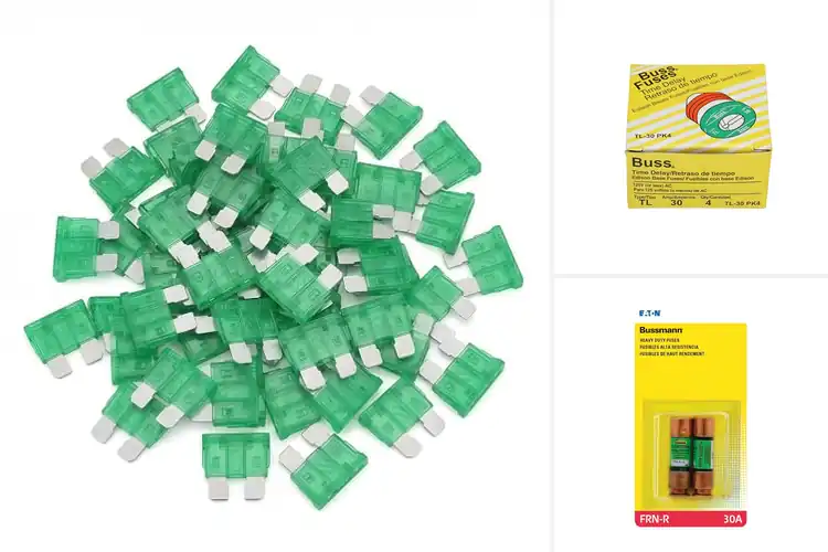 Detailed view of Best 30 Amp Fuses