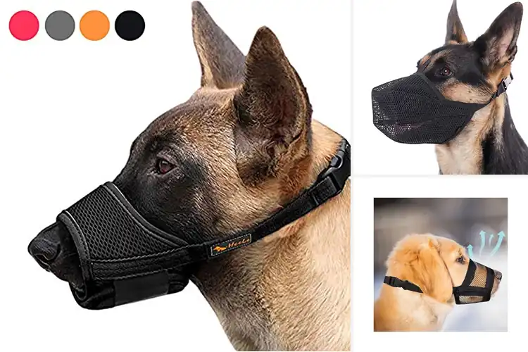 Detailed view of Best Adjustable Dog Muzzles: Safe & Comfy Picks