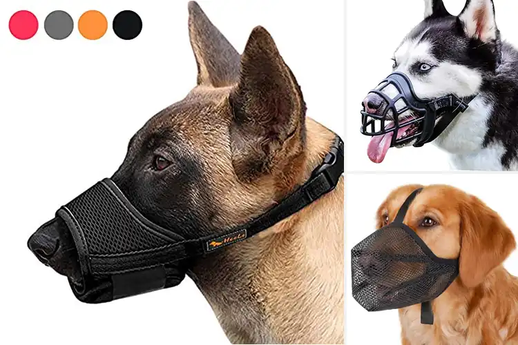 Detailed view of Best Anti Bite Muzzles: Top 10 Safe Picks