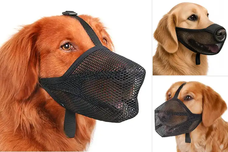 Detailed view of Best Anti Scavenging Muzzles: Top 10 Safe Picks