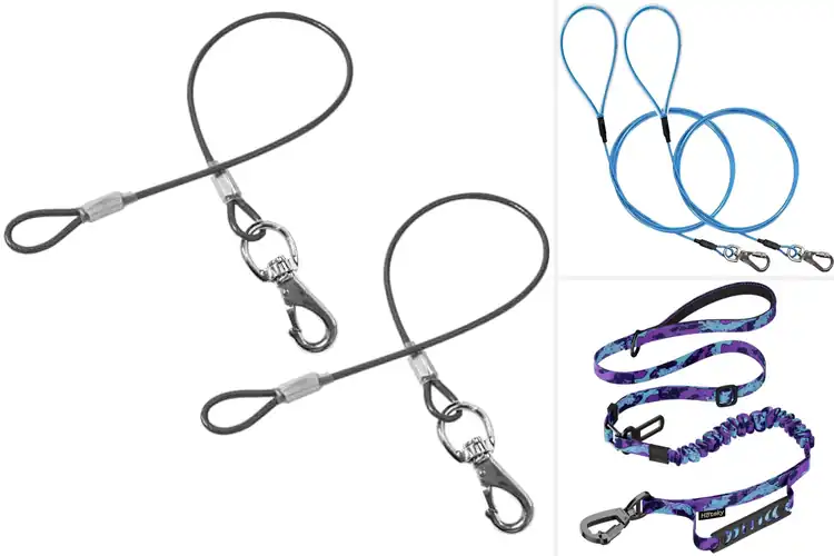 Detailed view of Best Anti-Twist Dog Leashes for Tangle-Free Walks