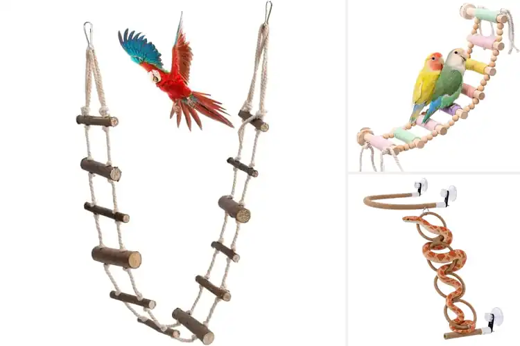 Detailed view of Best Bird Rope Ladder Sets: Top 5 Picks for Playful Birds