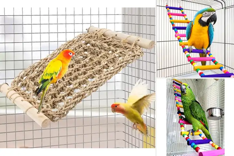 Detailed view of Best Conure Climbing Bridges: Keep Your Bird Active & Happy