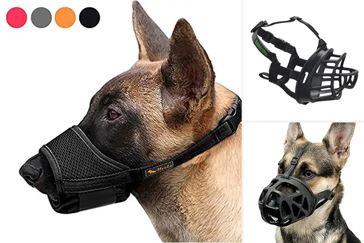 Detailed view of Best Dog Muzzles: Top 10 Safe & Comfy Picks