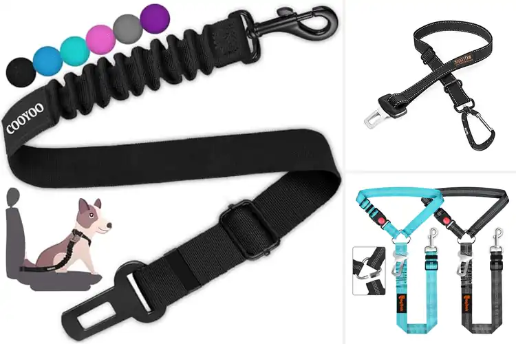 Detailed view of Best Dog Seatbelt Tethers: Top Picks for Safe & Cozy Rides