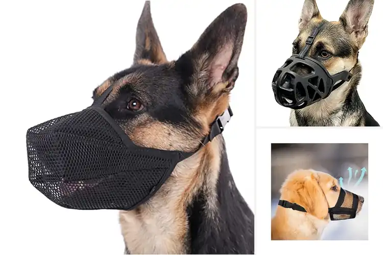 Detailed view of Best Dog Training Muzzles: Top 10 Safe Picks