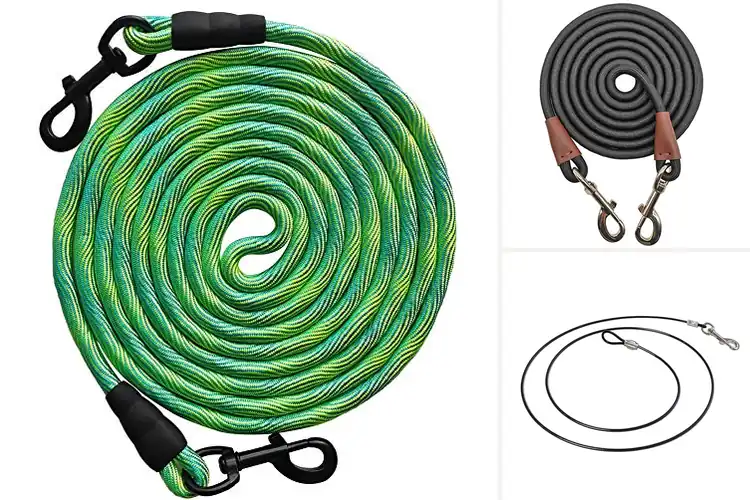 Detailed view of Best Durable Dog Tethers