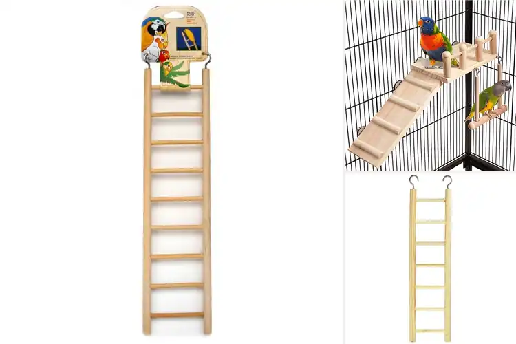 Detailed view of Best Easy Install Bird Ladders: Keep Birds Active & Happy