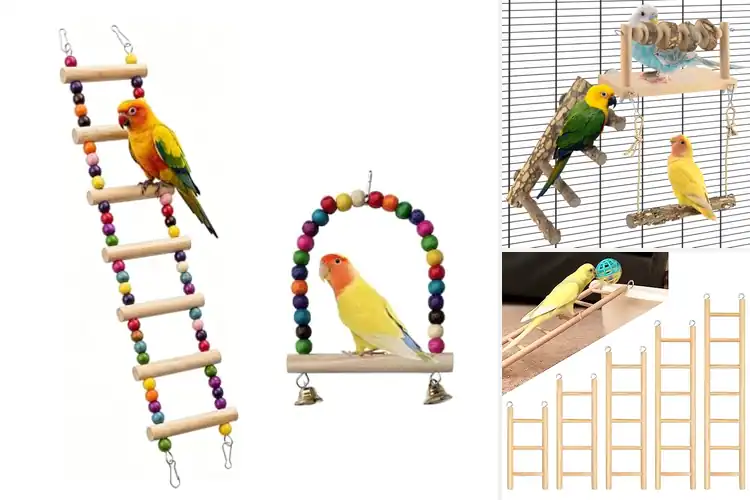 Detailed view of Best Finch Cage Ladder Sets