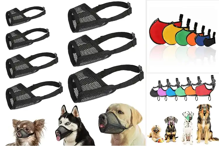 Detailed view of Best Grooming Muzzles: Top 10 Picks for Comfort & Safety