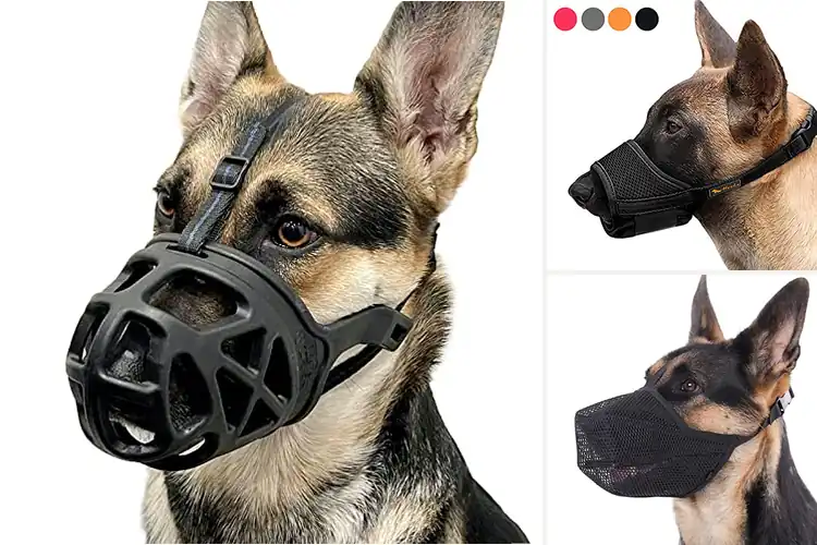 Detailed view of Best Large Dog Muzzles: Top 10 Safe & Comfy Picks