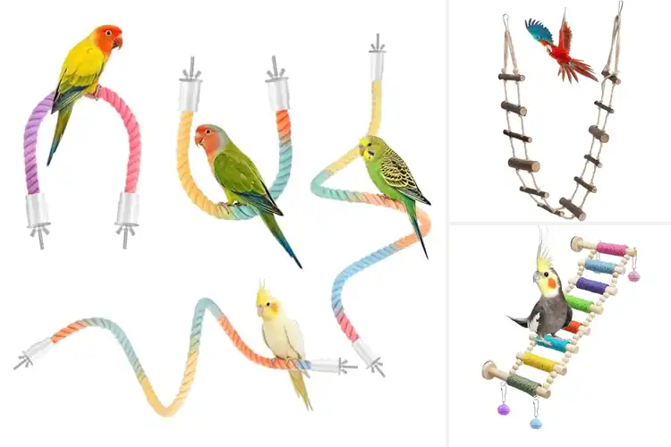 Detailed view of Best Lovebird Rope Ladders: Safe, Fun, and Chew-Proof