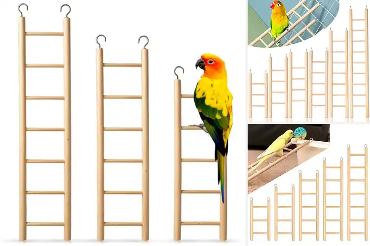 Detailed view of Best Wooden Bird Ladder Sets